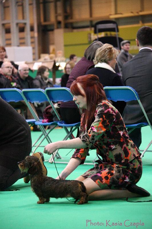 Crufts2011_2 1652.jpg